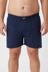 Men Plus Боксеры в цвете Navy, Night Blue - фото 2