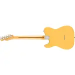 Fender Britt Daniel Telecaster Thinline - фото 2