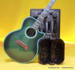 Акустическая гитара Takamine CTP-3 Preamp Battery Compartment Lid - фото 3