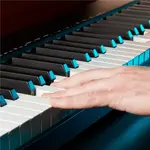 Alesis Q88 MkII - фото 7