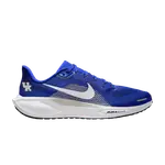Кроссовки Nike NCAA x Air Zoom Pegasus 41 'Kentucky', синий - фото