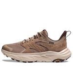 Кроссовки anacapa 2 low gtx 'dune oxford tan' Hoka One One, мультиколор - фото