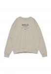 Толстовка HALO GRAPHIC BOXY CREW, Oyster Gray/Beige - фото
