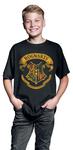 Футболка Harry Potter Kids - Hogwarts Crest, черный - фото 3