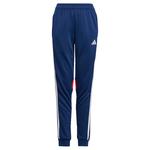 Зауженные спортивные брюки ADIDAS PERFORMANCE Tiro 25 Essentials, темно-синий - фото