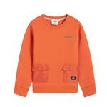 Детская толстовка Dickies, Тыква - фото 4