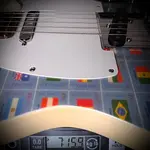 Fender Telecaster ограниченной серии с мировыми марками | Мали - фото 9