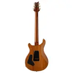 Электрогитара PRS Custom 24 10-Top с цельным корпусом - Аврора Бореалис - фото 2