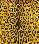 Мини-юбка с леопардовым принтом Dolce&Gabbana, желтый - фото 3