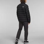 THE NORTH FACE Мужская куртка, цвет Black - фото 4