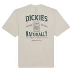 Футболка Dickies Elliston белая - фото 4