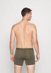 Трусы Icebreaker MERINO ANATOMICA, цвет Loden - фото 2