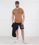 Футболка Regular fit Replay, коричневый - фото 2