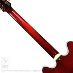 Eastman Истван Т486 (Классический) - фото 6