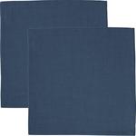 Салфетки в упаковке, 2 шт. 204534 Sander, синий - фото