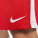 Nike Мужские шорты для спорта dri fit university red - фото 6