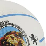 Баскетбольный мяч Nike - фото 5