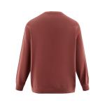 Толстовка мужская CAT, кирпично-красная - фото 3