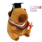 Плюшевая кукла Dr Capybara Kun, высота 20см/25см AOLETU - фото