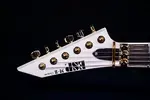 ESP Original M-II CTM NT/E пакет Snow White Gold - фото 4