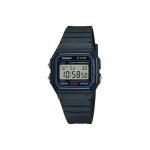 CASIO Часы G Shock F91W1D - фото