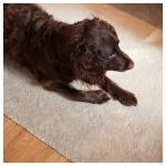 Ковер, короткий ворс, зеленый, 170х240 см Stoense IKEA - фото 4