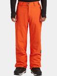 O'NEILL Мужские горнолыжные брюки FWC'Cruz - фото