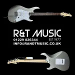 Cort G250 Серебристый металлик - фото 4