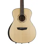 Washburn Wcg10 Sns - фото 2