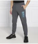 Спортивные штаны Regular fit Ea7, серый - фото 3