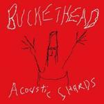 Диск CD Acoustic Shards - Buckethead - фото