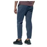 Джоггеры Born Living Yoga Lomond Lite, синий - фото 2