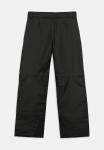 Зимние брюки FREEDOM INSULATED PANT UNISEX The North Face, черный - фото 2
