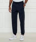 Спортивные штаны мужские Ea7 с лампасами, синий - фото