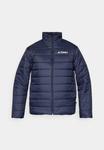 Куртка Adidas Terrex Winter jacket, Legend Ink/Dark Blue - фото 5