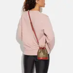 Демпси Хэндбэгз КОУЧ - фото 5