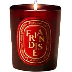 Свечи и восковые пластины Diptyque - фото 2