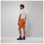 Шорты Talveno durastretch - шорты Salewa, коричневый - фото 4