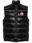 Дутый жилет Crofton Canada Goose, черный - фото