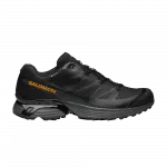 Кроссовки XT-Pathway GORE-TEX Salomon, черный - фото