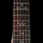 PRS CE Swamp Ash Special - Джаспер Смоукберст - фото 2