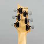 Paul Reed Smith Silver Sky Maple в цвете Dodgem Blue - фото 11