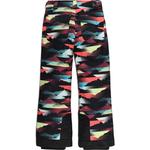 Брюки Spyder Olympia Spyder, Multi Mountain Print - фото 5