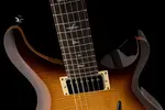 PRS Guitars SE DGT McCarty Tobacco Sunburst - Птицы - фото 6
