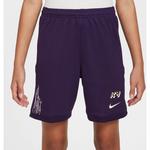 Shorts mbappe km academy25 Nike, мультиколор - фото 3