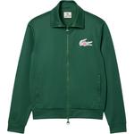 CLOT Куртка унисекс Lacoste X LACOSTE зелёная, Green - фото