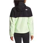 THE NORTH FACE Женская куртка, цвет Black/Green - фото 4