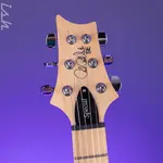 Электрогитара PRS SE Swamp Ash Special, цвет Iri Blue - фото 5