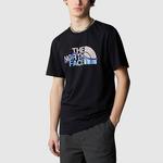 Футболка мужская черная The North Face, черный - фото 4