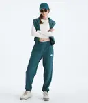 Женские брюки Tekware The North Face, Space - фото 2